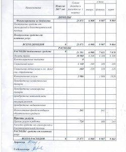 Отчет о доходах и расходах за 1 кв.2017